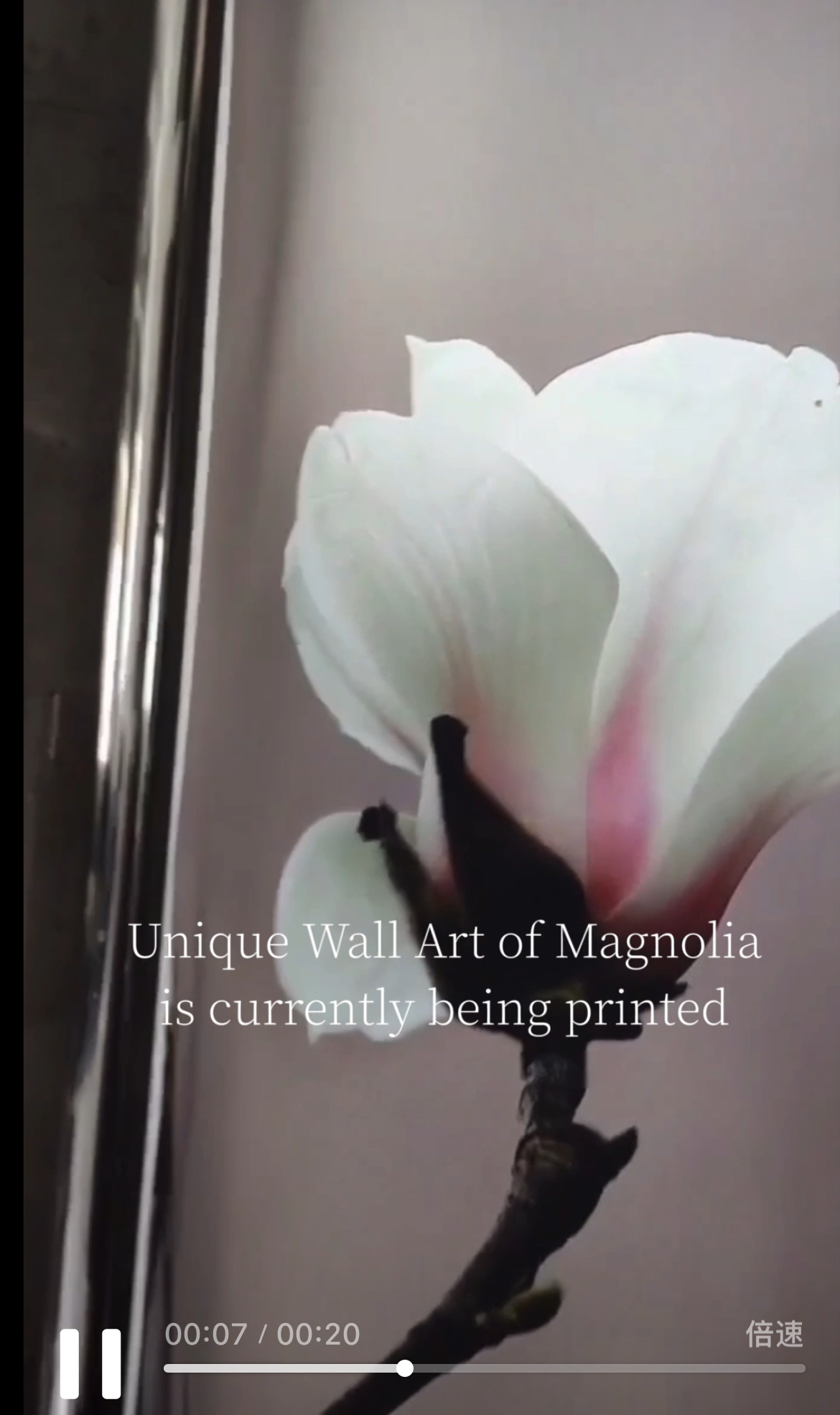 Printning A Single Magnolia