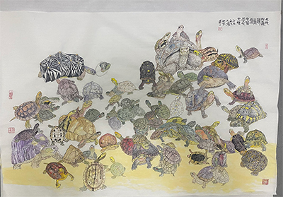 陈九藤 Mr. Chen Jiuteng‘s Artwork - Hundred Turtles Painting（Sold）
