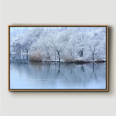 Snow - Solid Framed Size 24in x36in 