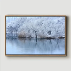 Snow - Solid Framed Size 24in x36in 