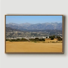Unique Wall Art SKU PH-077-SY Frame Size 40in x 29in