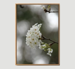 Flower Branch A -Framed Wall Art Size 20in x 29 in
