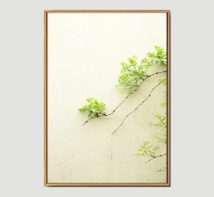Wall - Framed Wall Art Size 20in x 29in